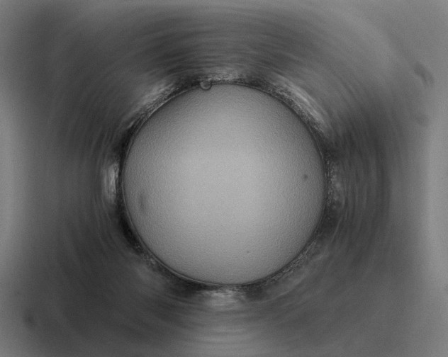 X0000116800118200912311944