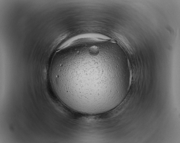 X0000116800120200912311944