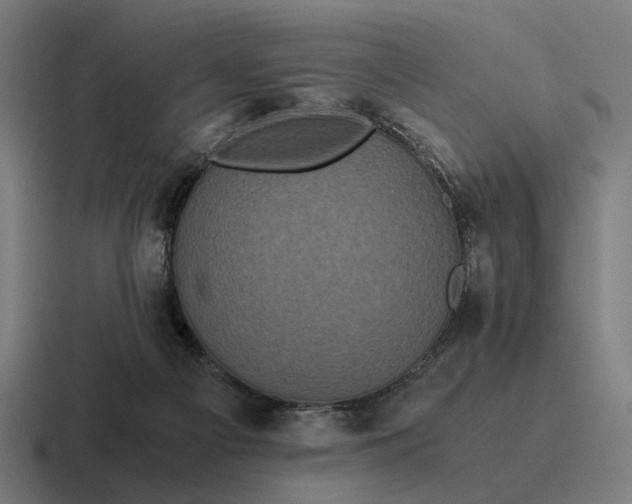 X0000116800121200912311944