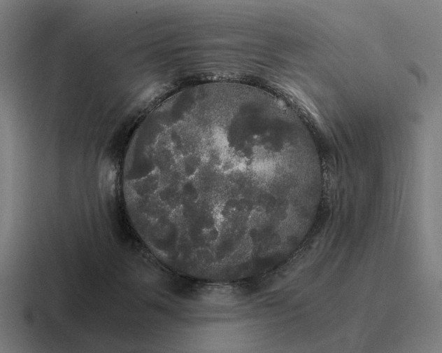 X0000116800123200912311944