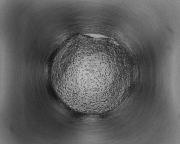 X0000116800128200912311943