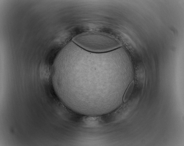 X0000116800129200912311943