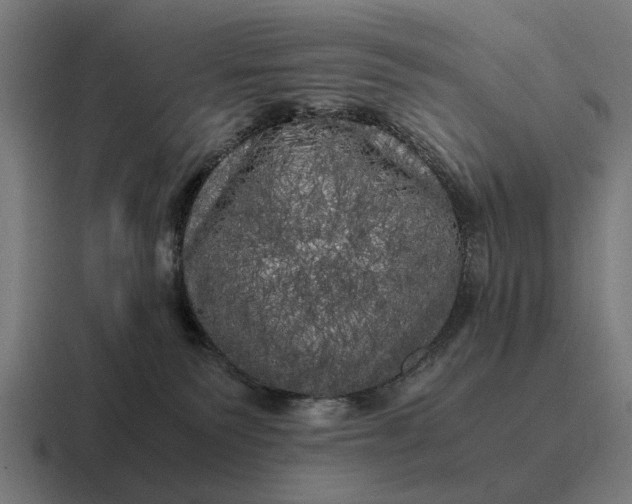 X0000116800135200912311943