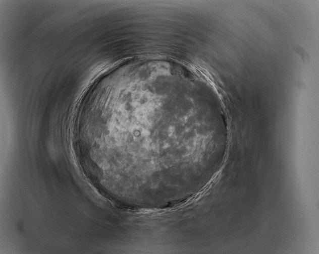 X0000116800145200912311943