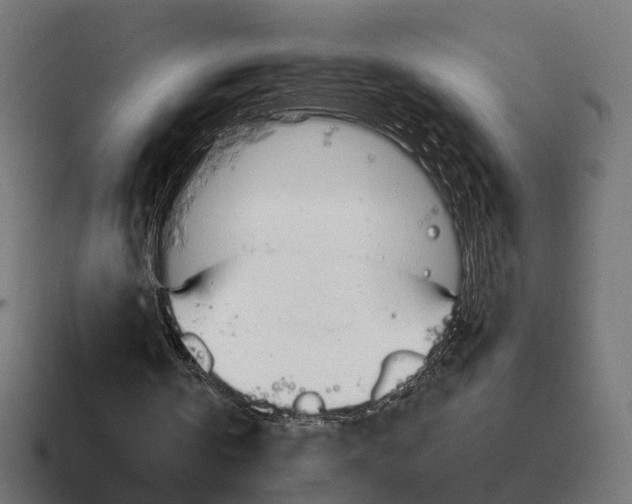 X0000116800146200912311943