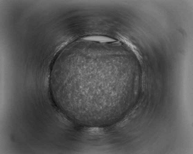 X0000116800153200912311943