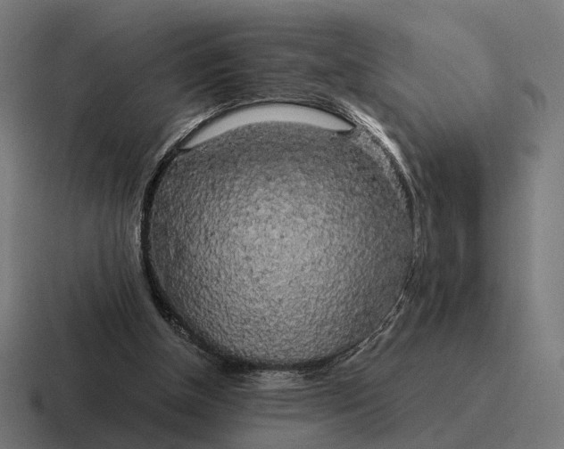 X0000116800154200912311943