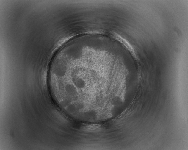 X0000116800155200912311943