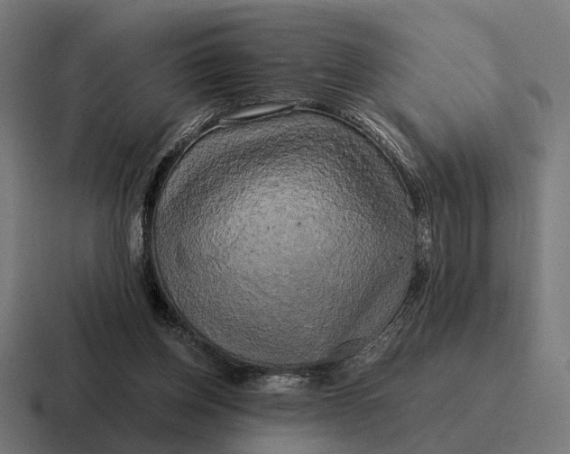 X0000116800158200912311943