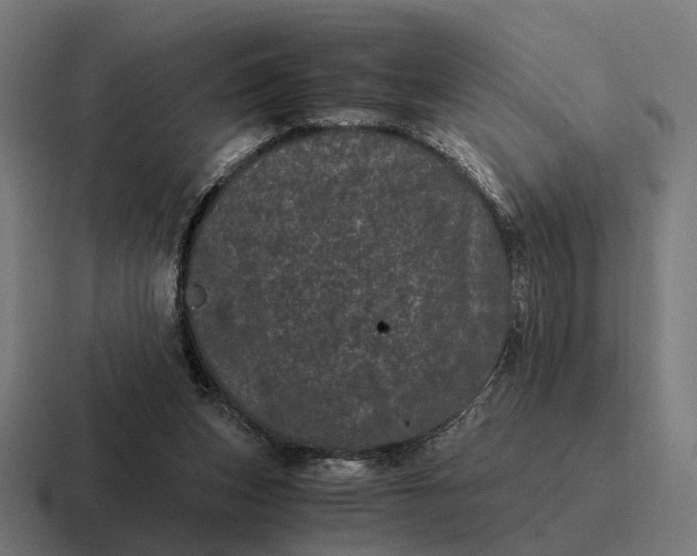 X0000116800159200912311943