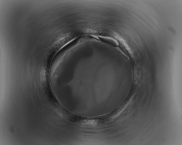 X0000116800161200912311943