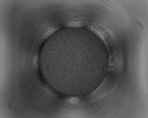 X0000116800162200912311943