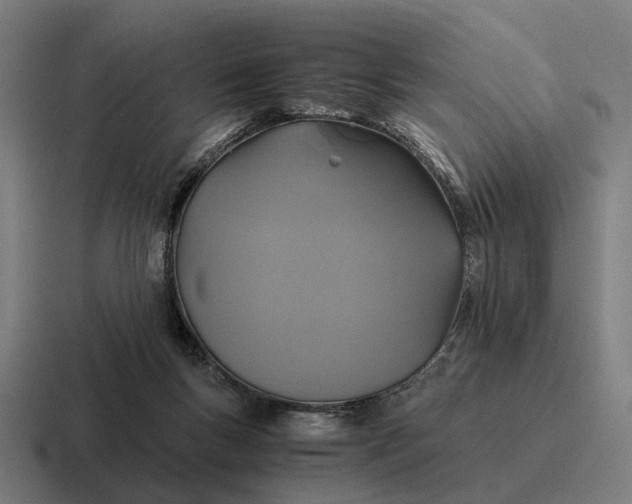 X0000116800167200912311943