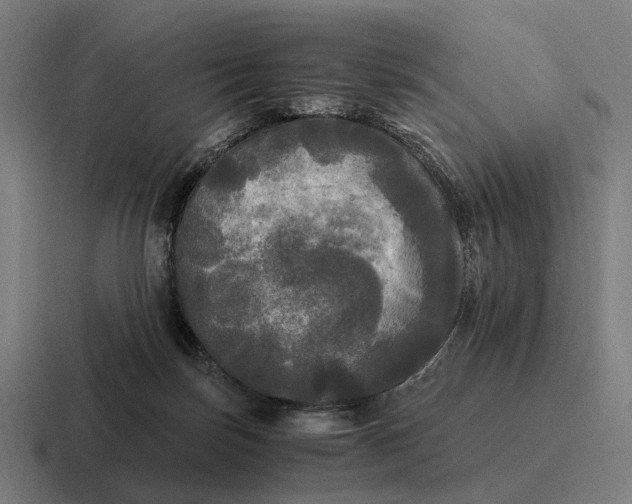 X0000116800171200912311943