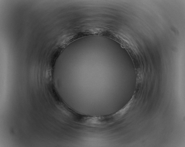 X0000116800182200912311943