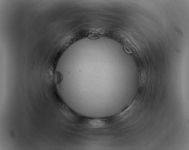 X0000116800183200912311943