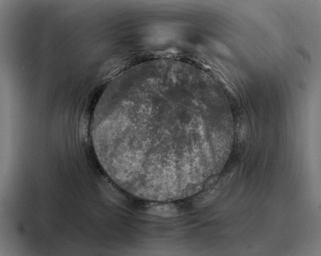 X0000116800185200912311943