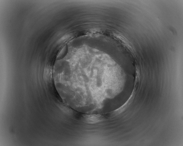 X0000116800191200912311943