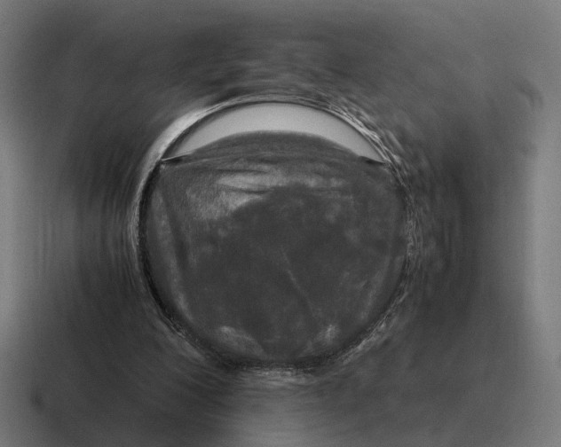 X0000116800200200912311943