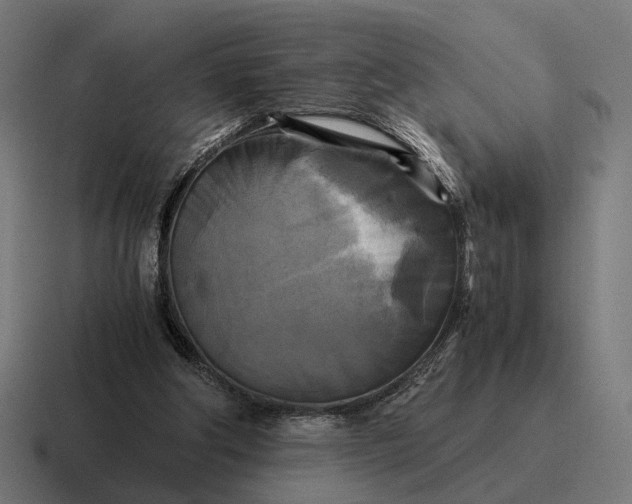 X0000116800202200912311943