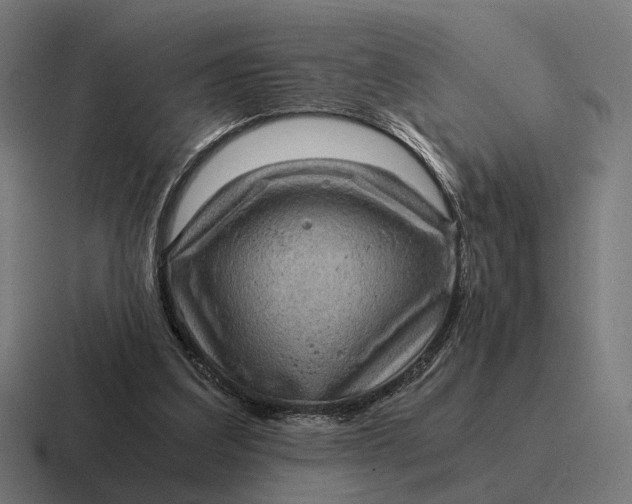 X0000116800203200912311943