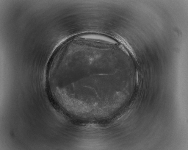 X0000116800204200912311942