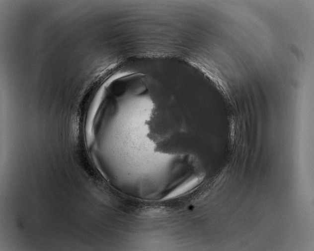 X0000116800206200912311942