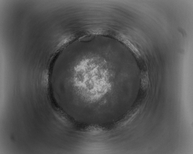 X0000116800207200912311942