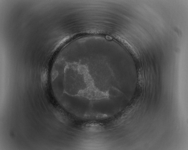 X0000116800208200912311942