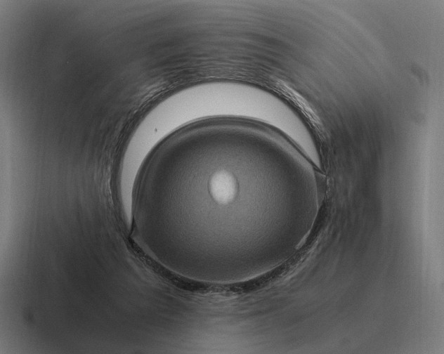 X0000116800209200912311942