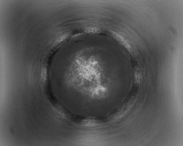 X0000116800211200912311942