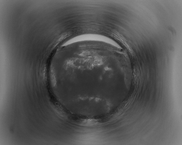 X0000116800212200912311942