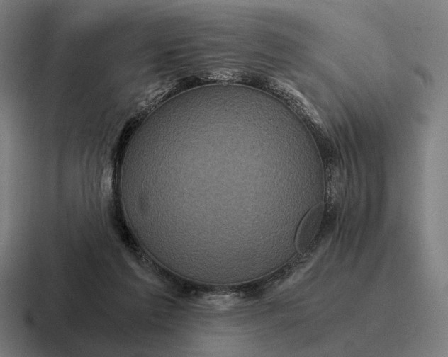 X0000116800213200912311942