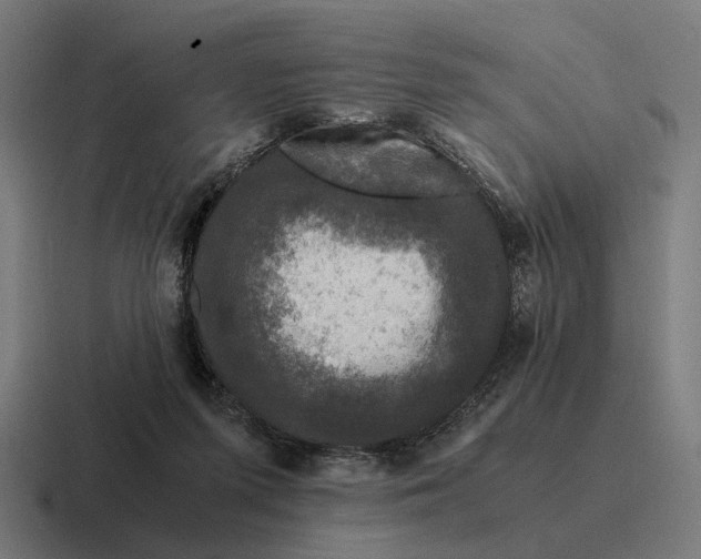 X0000116800215200912311942