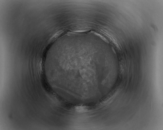 X0000116800216200912311942