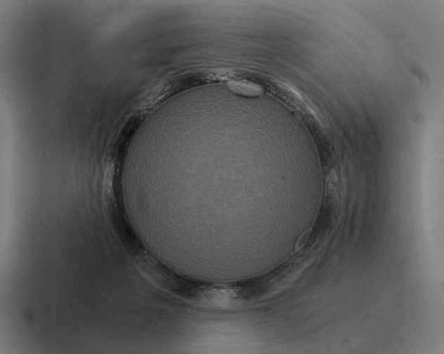 X0000116800217200912311942