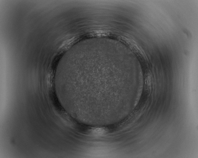 X0000116800218200912311942