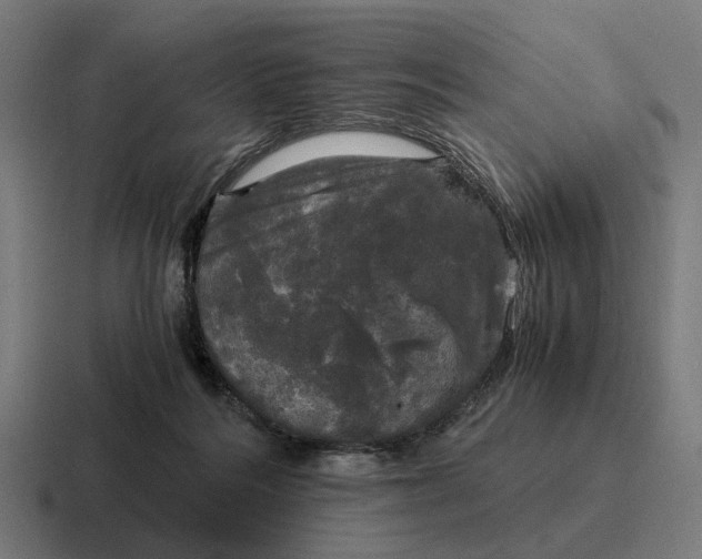 X0000116800220200912311942