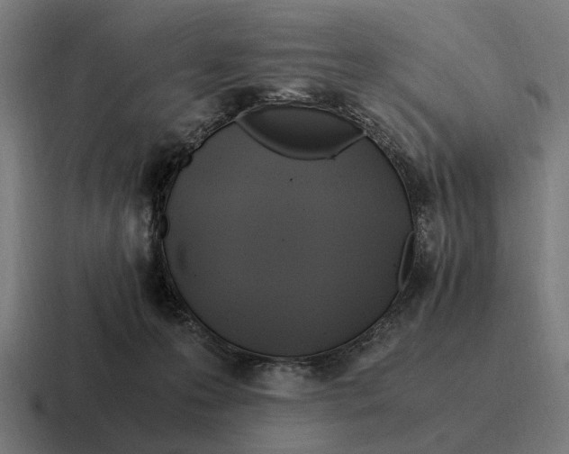 X0000116800223200912311942