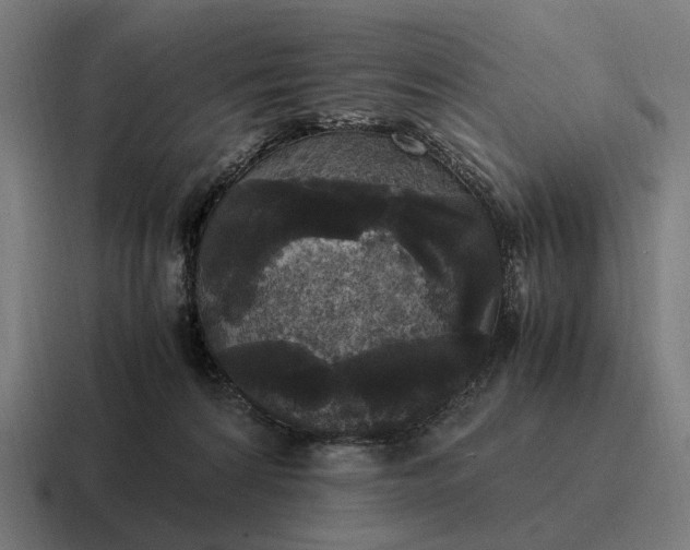 X0000116800224200912311942