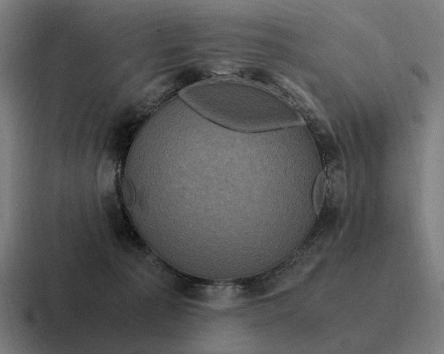 X0000116800225200912311942