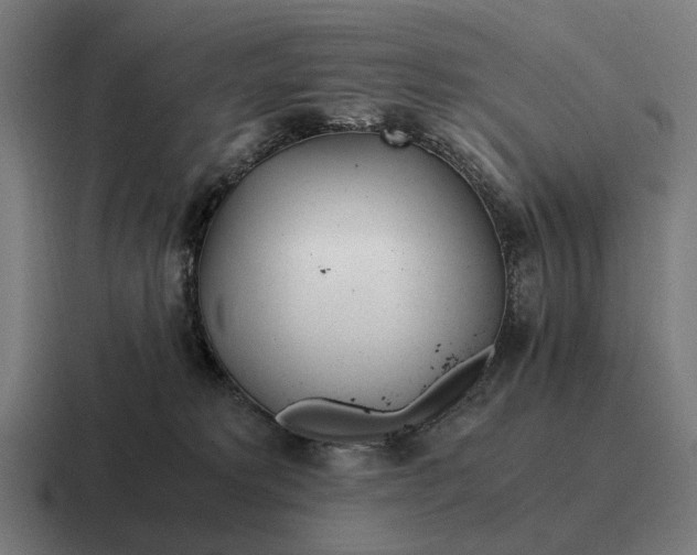 X0000116800229200912311942