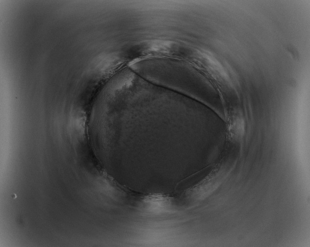 X0000116800231200912311942