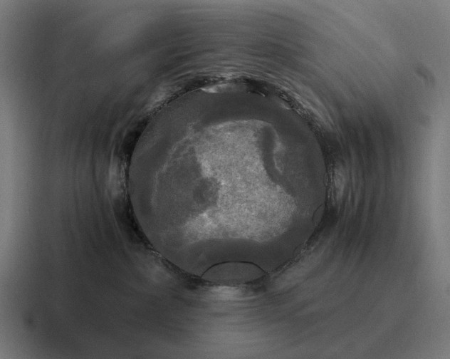 X0000116800236200912311942