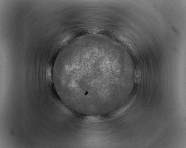 X0000116800238200912311942