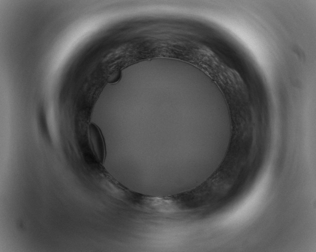 X0000116800239200912311942