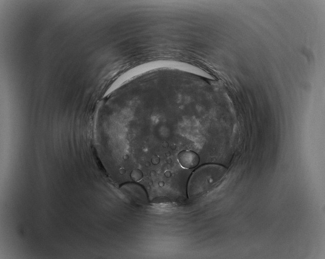 X0000116800240200912311942