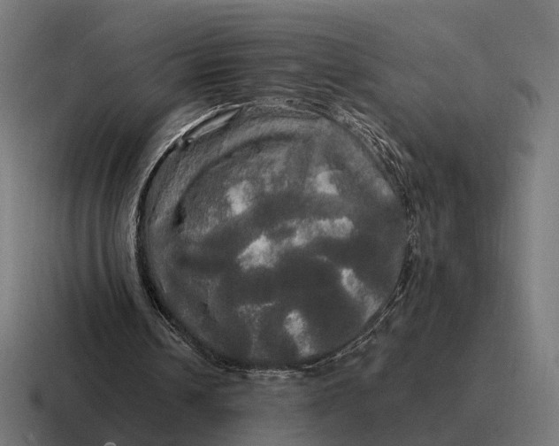 X0000116800242200912311941