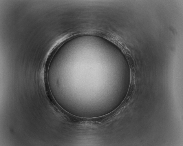 X0000116800244200912311941