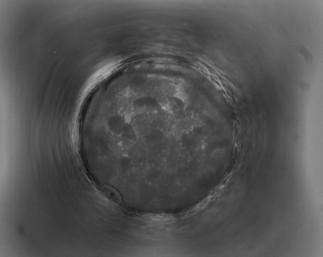 X0000116800245200912311941